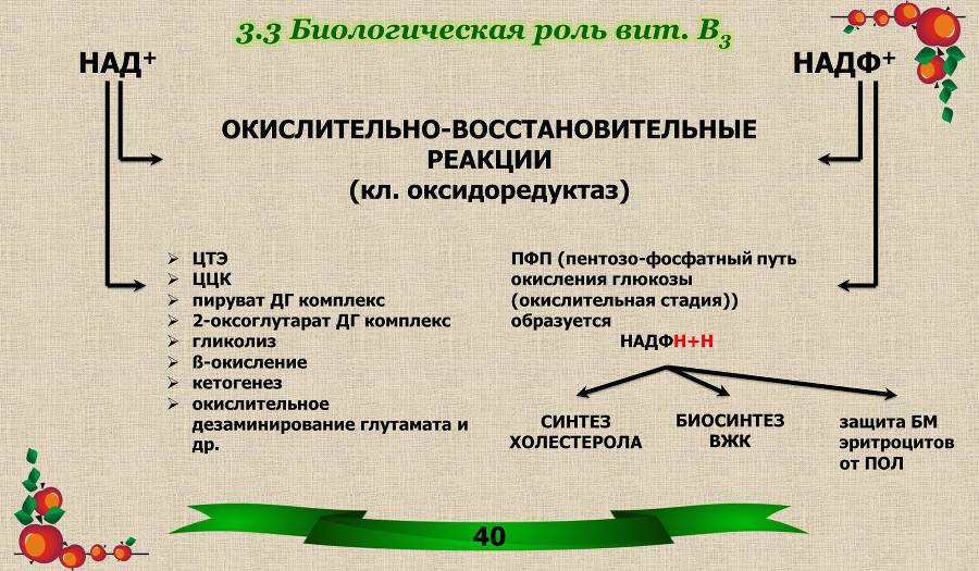 Витамины. Часть 1: Водорастворимые - _20.jpg