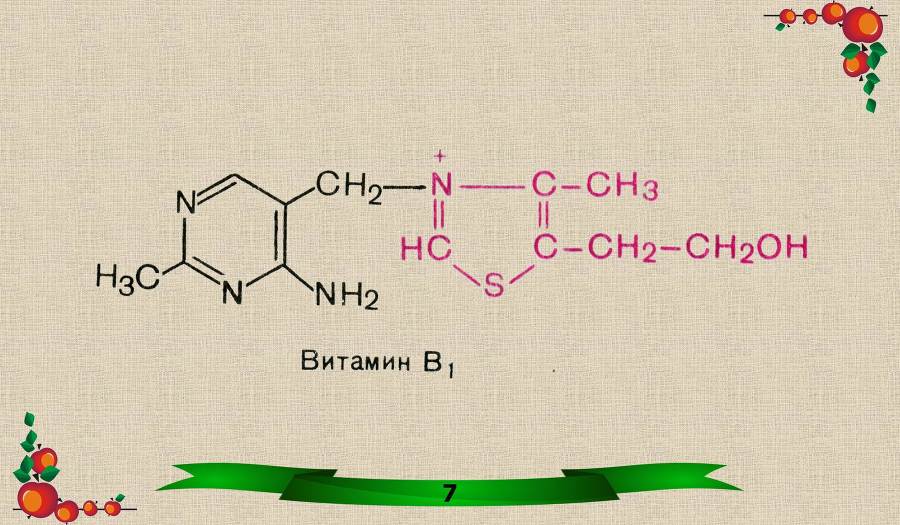 Витамины. Часть 1: Водорастворимые - _0.jpg
