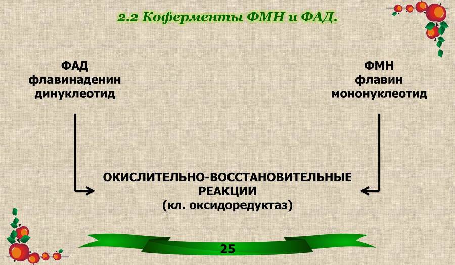 Витамины. Часть 1: Водорастворимые - _10.jpg