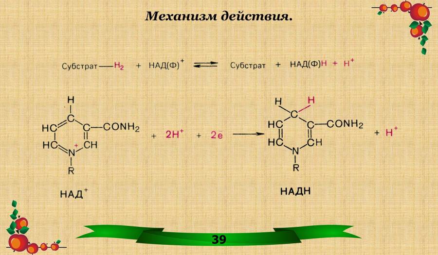 Витамины. Часть 1: Водорастворимые - _19.jpg