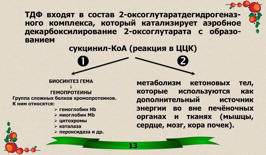 Витамины. Часть 1: Водорастворимые - _5.jpg