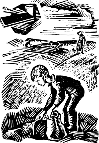 Горькие шанежки<br />(Рассказы) - i_011.png