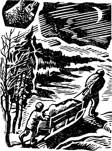 Горькие шанежки<br />(Рассказы) - i_012.png