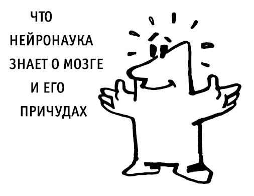 Ваш мозг. Что нейронаука знает о мозге и его причудах - i_001.png