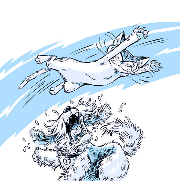 Секрет звёздного пса - i_006.jpg