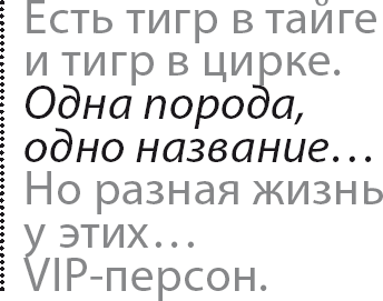 Первое лицо на rendez-vous - i_003.png