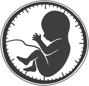 Когда ты будешь готова. Как спокойно спланировать беременность и настроиться на осознанное материнство - i_001.jpg