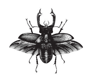 Планета насекомых: странные, прекрасные, незаменимые существа, которые заставляют наш мир вращаться - i_001.jpg