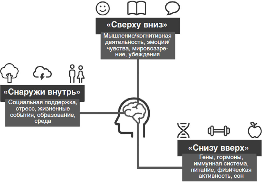 Женский мозг: нейробиология здоровья, гормонов и счастья - i_002.jpg