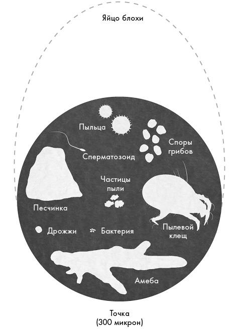 Не один дома. Естественная история нашего жилища от бактерий до многоножек, тараканов и пауков - i_003.jpg