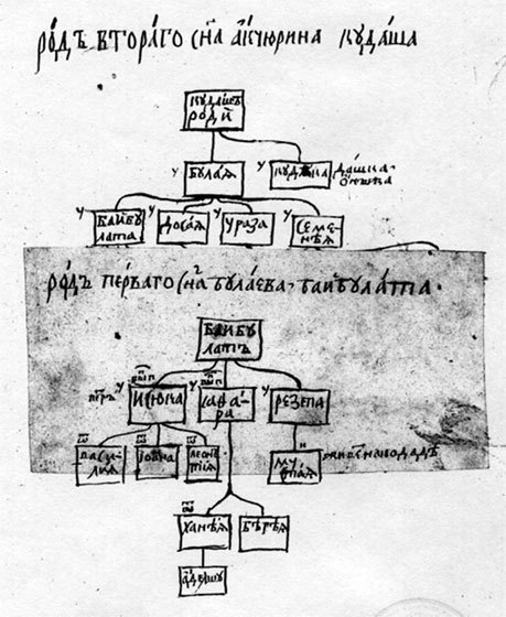 История татар Пензенского края. Том 1 - i_005.jpg