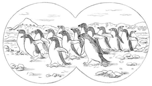 Пингвинёнок-непоседа - i_006.jpg