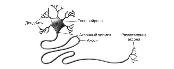 Принадлежат ли мне мои мысли, или Для чего я здесь? - image0_5f5fb93c06eb5e41a6d2d34f_jpg.jpeg