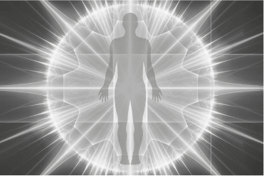 Ниндзя продаж. Тайное искусство больших побед - i_002.png