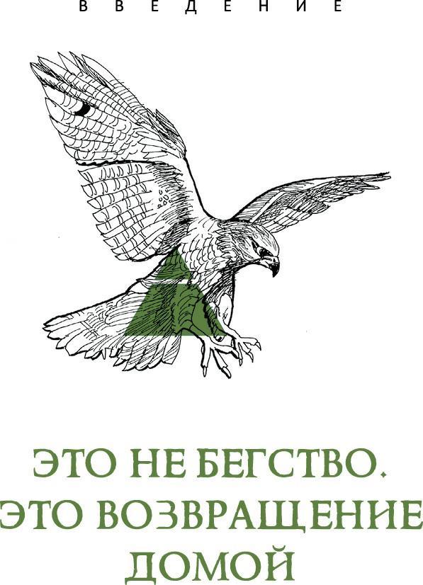 Дикая Волшебная Душа: раскрепости свой дух и соединись с мудростью природы - i_004.jpg