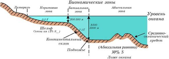 333 года заблуждений физики - _1.jpg