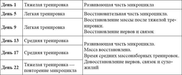 Силовые тренировки для любителей - i_008.png