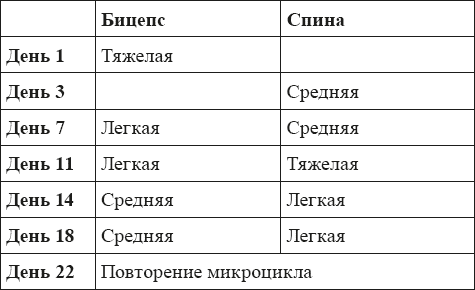 Силовые тренировки для любителей - i_009.png