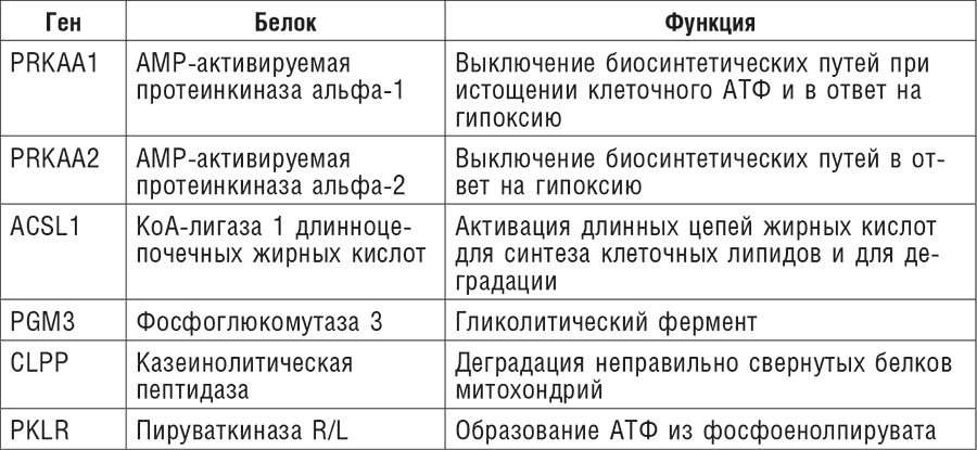 Фитотерапия при заболеваниях сердца. Травы жизни - i_004.png