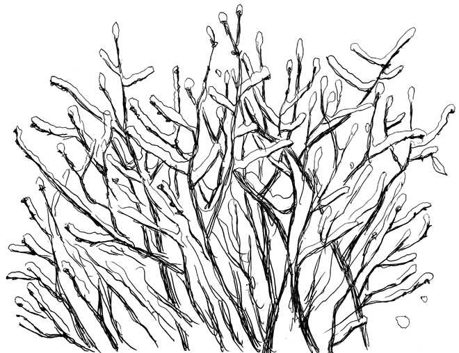 Удар под дых. Две повести - i_016.jpg