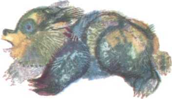 Болгарские народные сказки. Том 1 - i_056.jpg