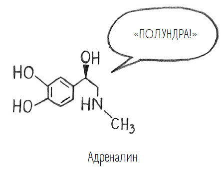 Комично, как все химично! Почему не стоит бояться фтора в зубной пасте, тефлона на сковороде, и думать о том, что телефон на зарядке взорвется - i_003.jpg