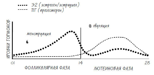 Женское здоровье. Без стыда и глупостей - i_003.jpg