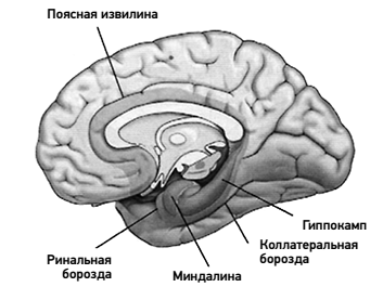 Между Ницше и Буддой: счастье, творчество и смысл жизни - _01.png