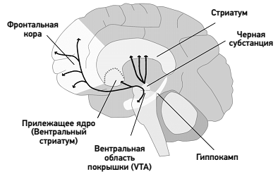 Между Ницше и Буддой: счастье, творчество и смысл жизни - _03.png