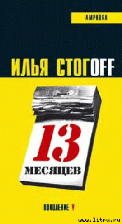 13 месяцев