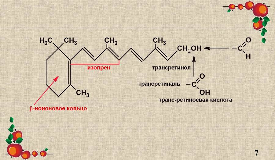 Витамины. Часть 2: Жирорастворимые - _2.jpg