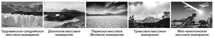 Цифровая трансформация. Как выжить и преуспеть в новую эпоху - i_002.jpg