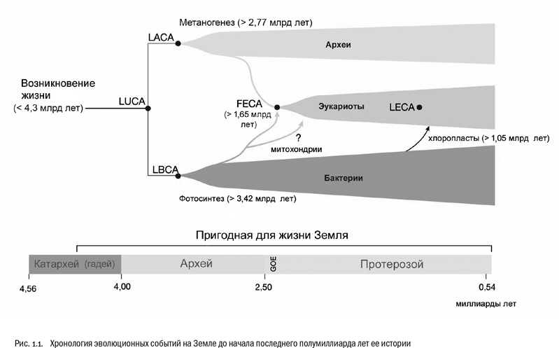 Евангелие от LUCA. В поисках родословной животного мира - i_002.png