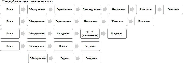 «Павловизация» дрессировки и мифология инстинкта - _16.jpg