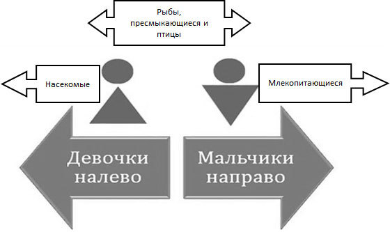 «Павловизация» дрессировки и мифология инстинкта - _4.jpg