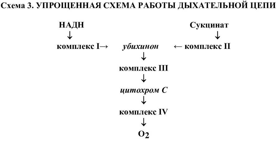 Коррекция факторов, лимитирующих спортивный результат - i_009.jpg