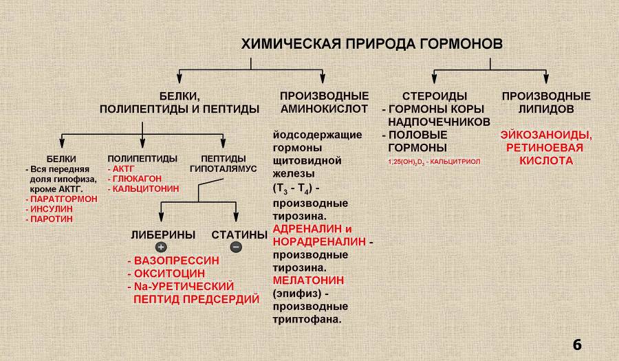 Гормоны - _1.jpg