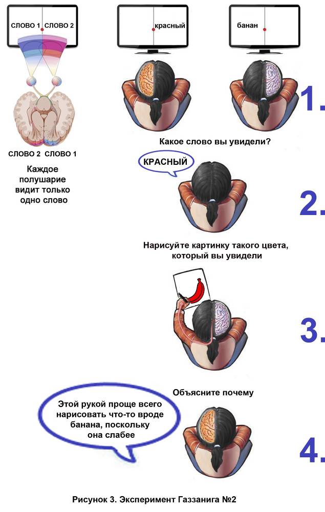 Королевский путь. Выбери тёмную сторону силы! - _2.jpg