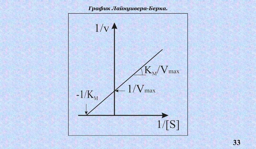 Ферменты - _15.jpg