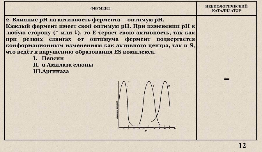 Ферменты - _5.jpg