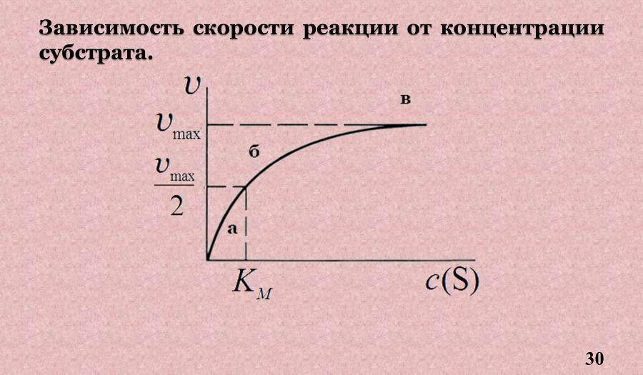 Ферменты - _14.jpg