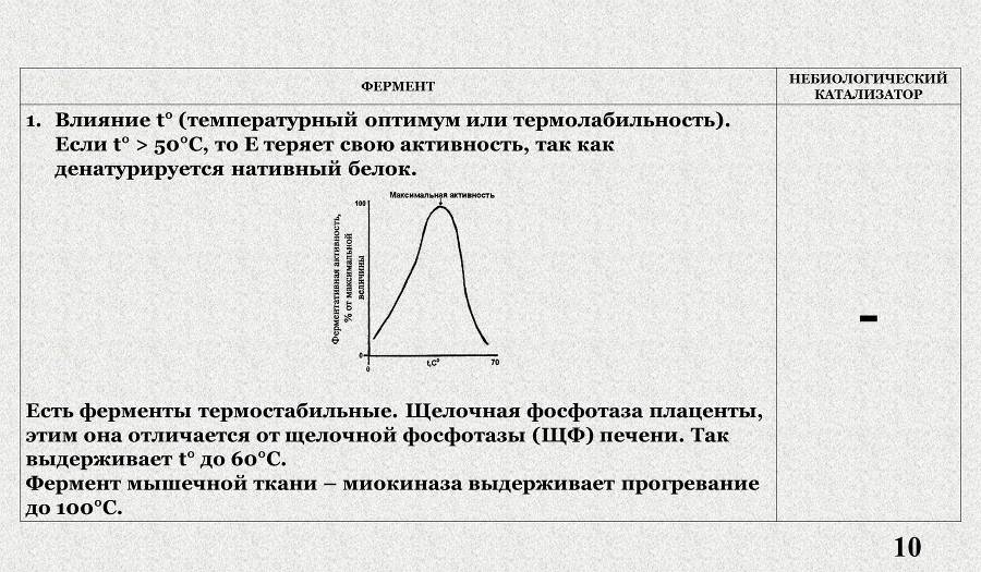 Ферменты - _4.jpg