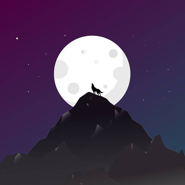 Зайчонок заблудился в лесу - _4.jpg