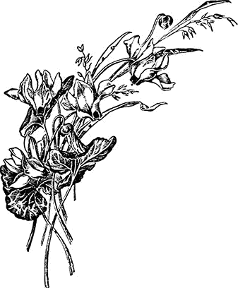 Живые примеры<br />(Рассказы для детей младшего возраста) - i_018.png