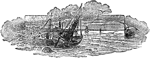 Живые примеры<br />(Рассказы для детей младшего возраста) - i_023.png