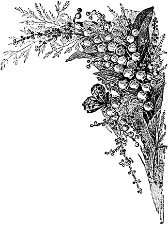 Живые примеры<br />(Рассказы для детей младшего возраста) - i_026.png