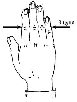 Целительные точки нашего организма. Подробный самоучитель - i_002.jpg