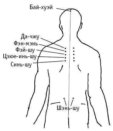 Целительные точки нашего организма. Подробный самоучитель - i_004.jpg