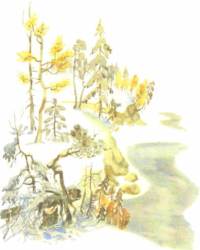 Зимовье на Студеной - i_003.jpg