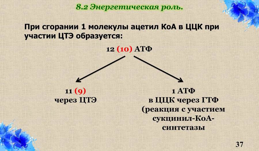 Введение в обмен - _17.jpg